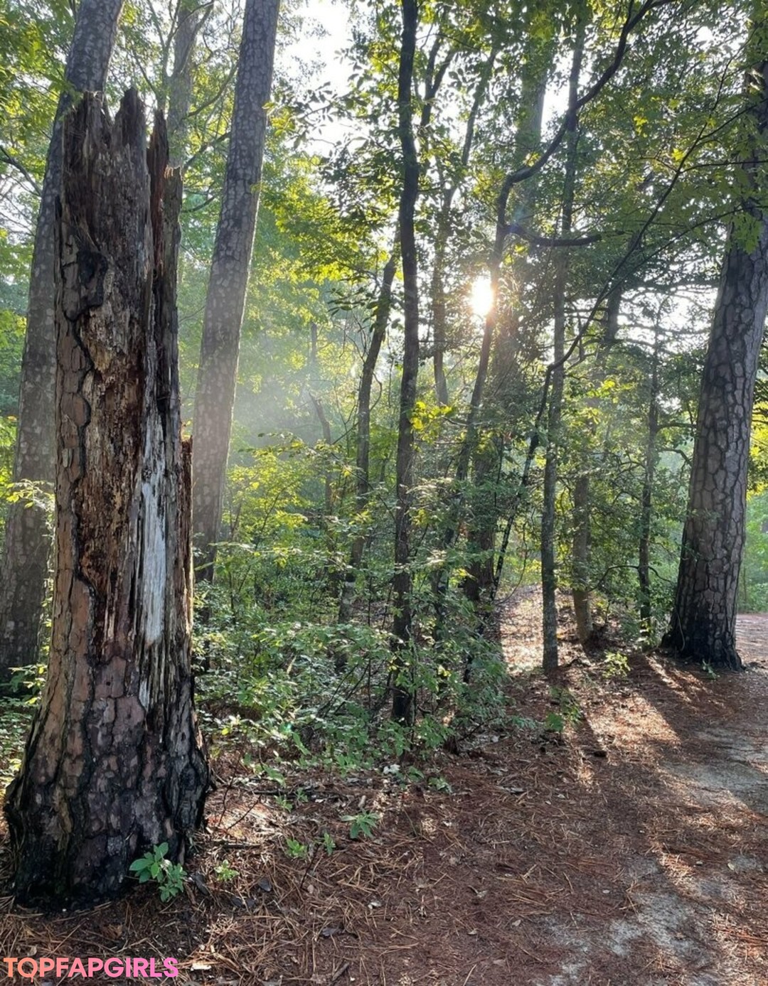 Naakte gelekte OnlyFans-foto van Pyra Fae #1455