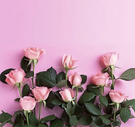 Brittany Elizabeth Welsh