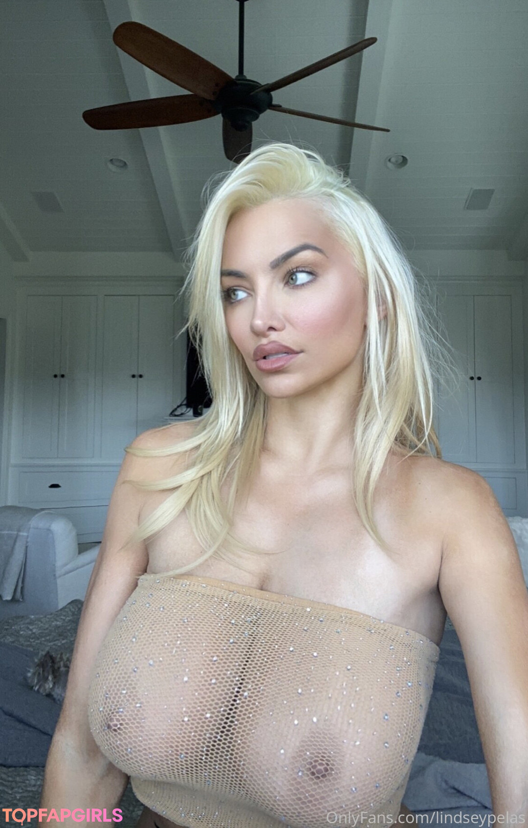 Naakte gelekte OnlyFans-foto van Lindsey Pelas #833