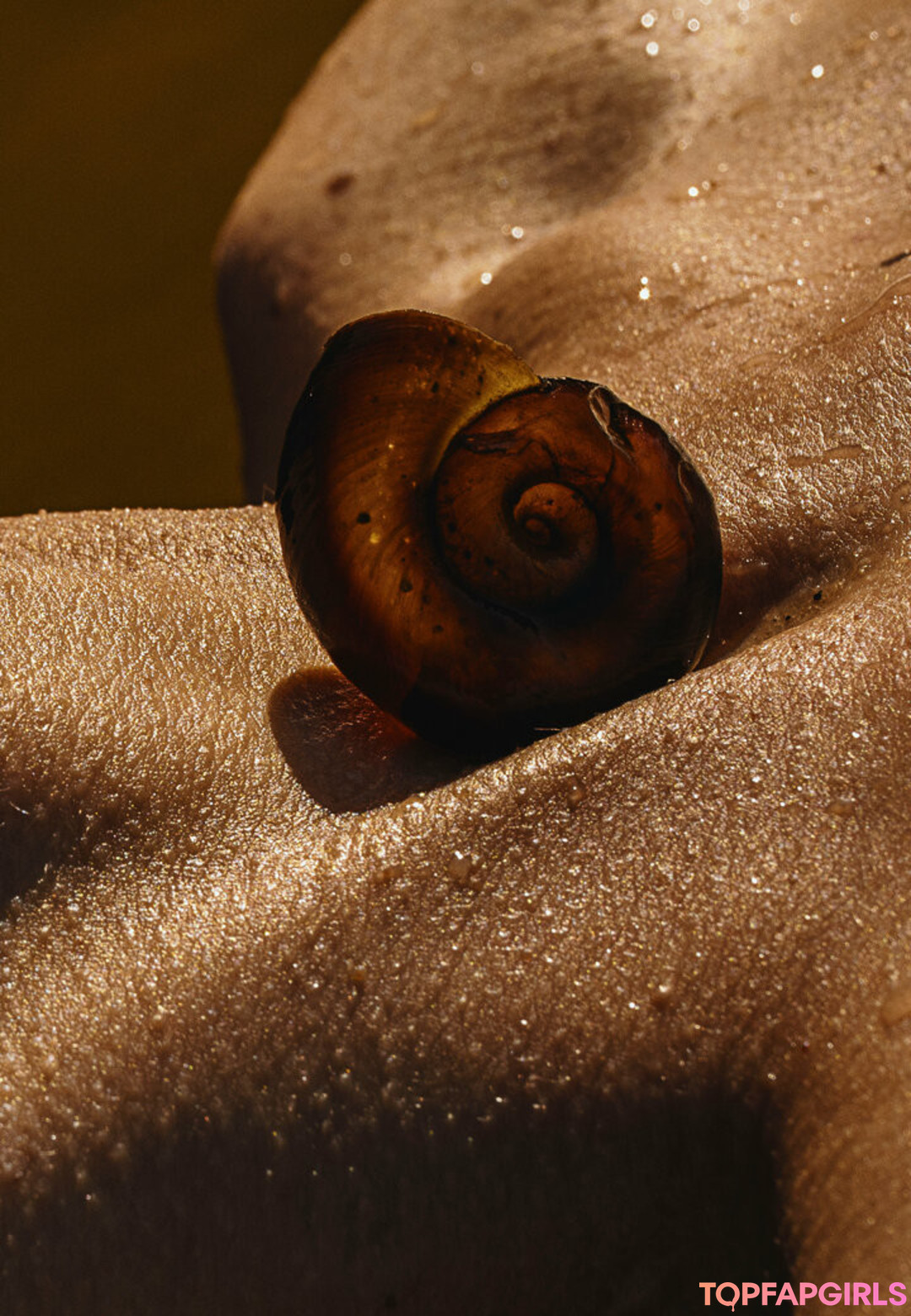 Naakte gelekte OnlyFans-foto van Solomia Maievska #1804