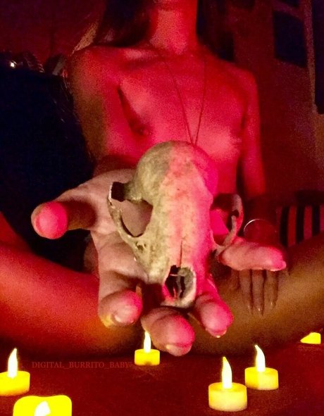 Digital_burrito_baby