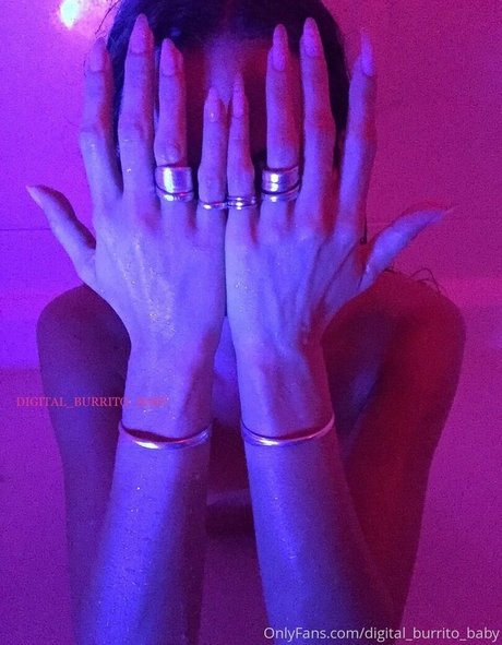 Digital_burrito_baby