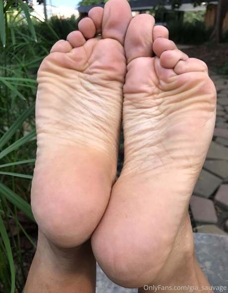 Gia_sauvage