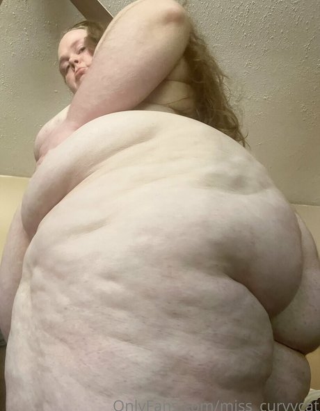 Miss_curvycat