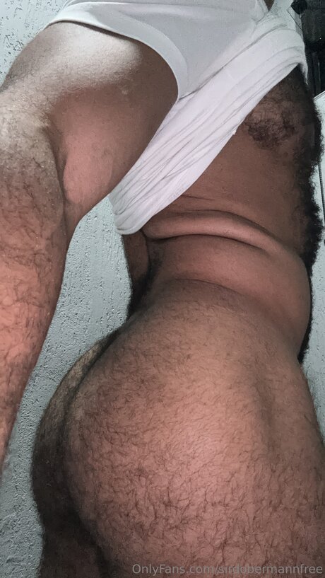 Naakte gelekte OnlyFans-foto van Sirdobermannfree
