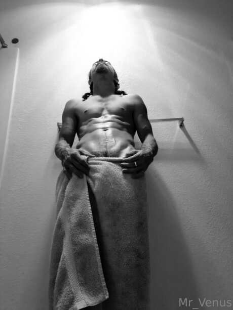 Mr Venus