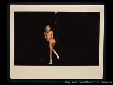 Thecarnalcamera