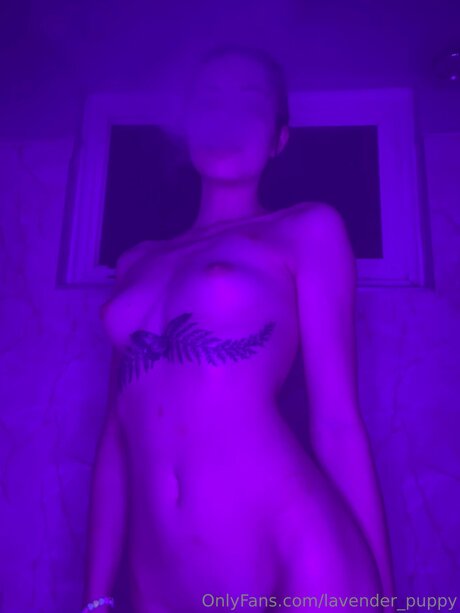 Lavender Puppy