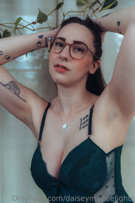 Daiseymaedelights