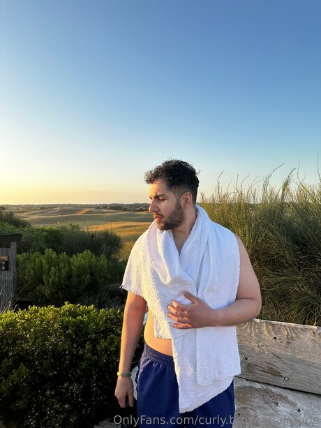 Curly Brown Hairdude