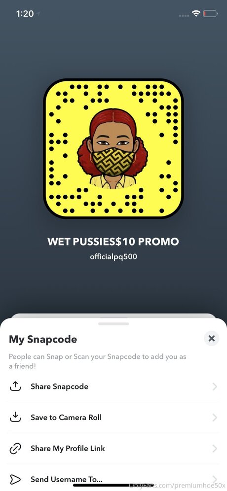 Premiumhoe50x