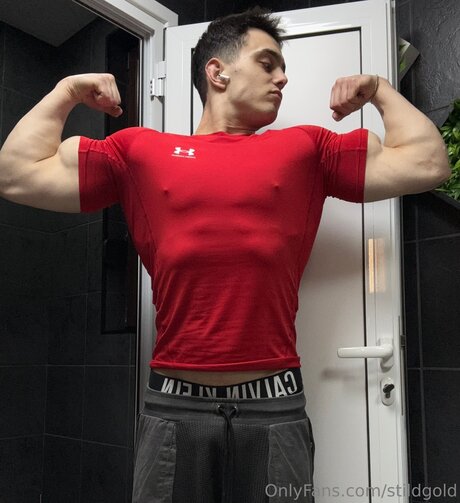 Naakte gelekte OnlyFans-foto van Stildgold