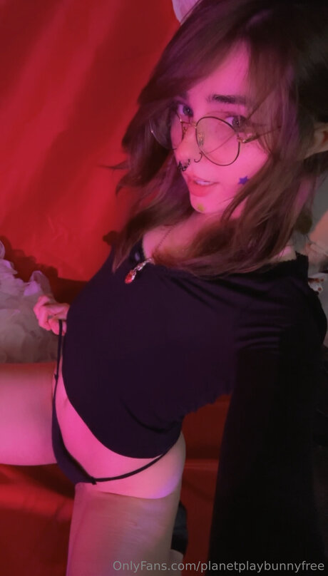 Planetplaybunnyfree