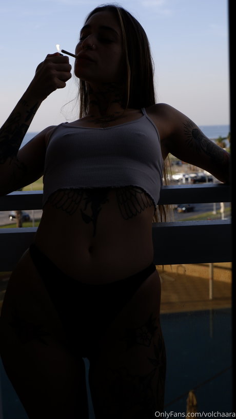 _volchara