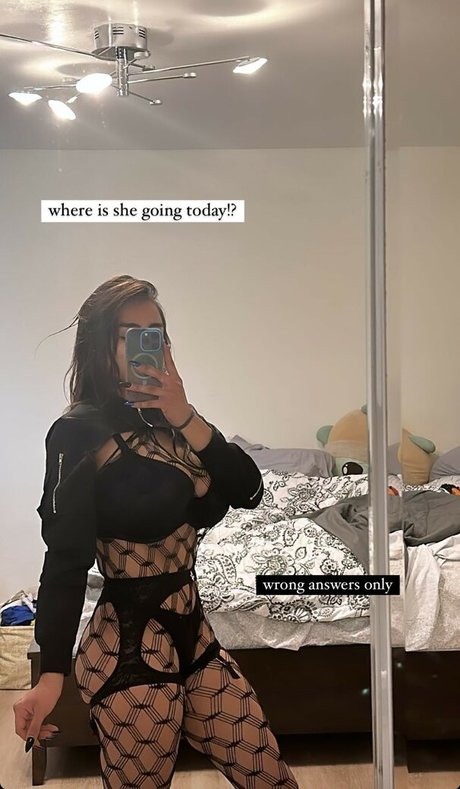 Noheli :