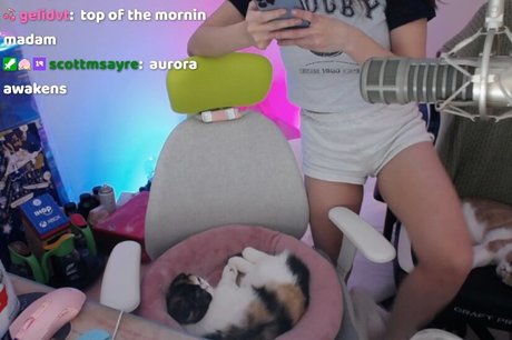 Ariasaki