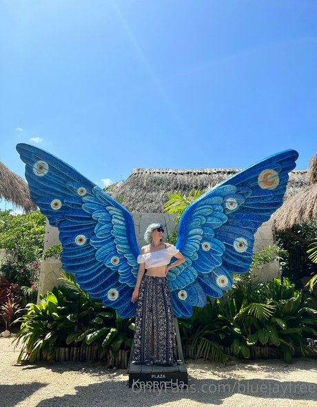 Bluejayfree