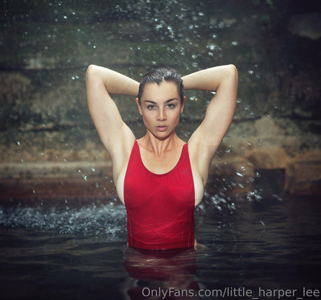 Naakte gelekte OnlyFans-foto van Littleharperlee