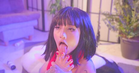 Kittymolly_