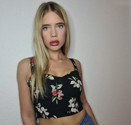 Hollaura