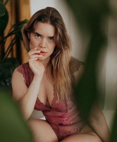 Hollaura