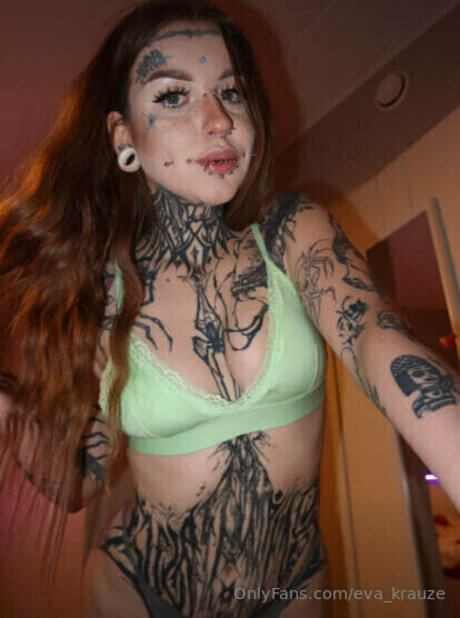 Evakrauze