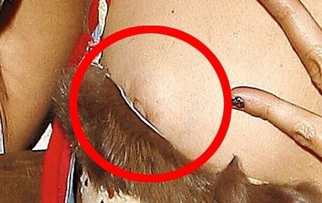 OOPS!!! International