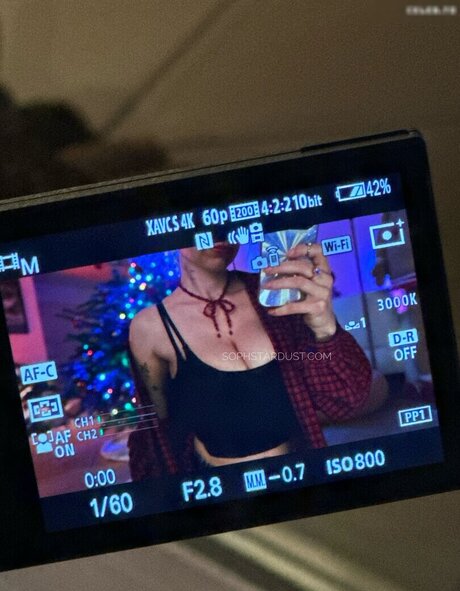 Soph Stardust