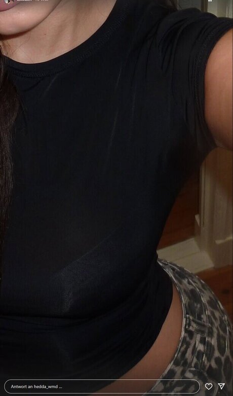 Hedda_wmd