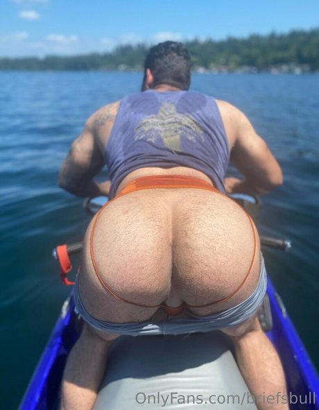 Briefsbull