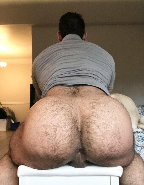 Briefsbull
