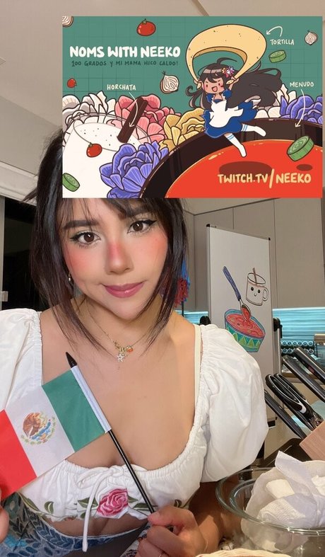 Naakte gelekte OnlyFans-foto van Neeko