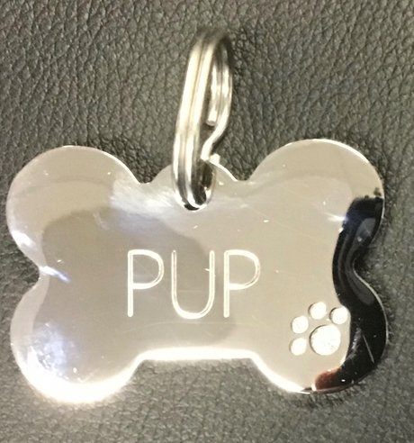 Pup
