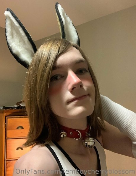Femboycherryblossom