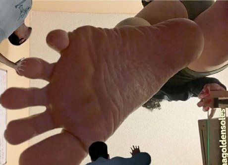 Latinagoldensoles