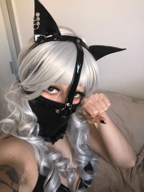 Milk Kitten Free