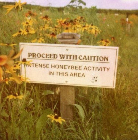 Honeyfromthehive