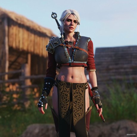 The Witcher