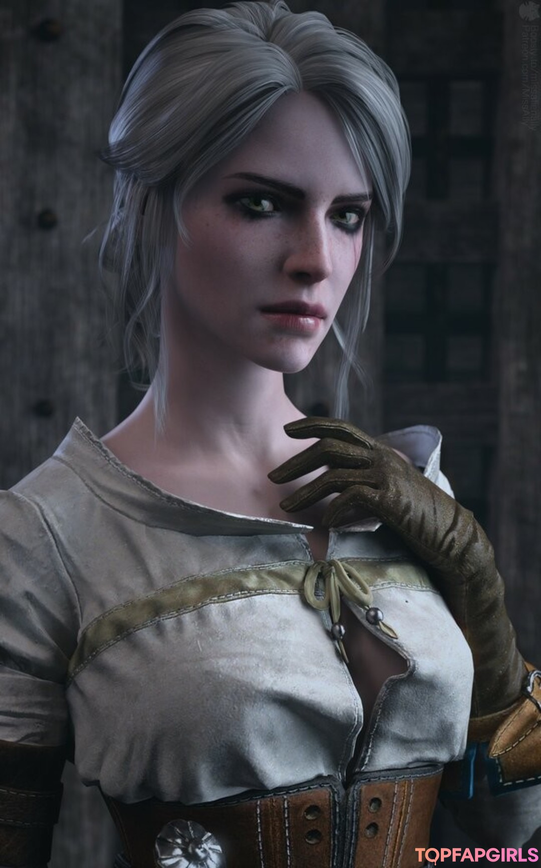 Naakte gelekte OnlyFans-foto van The Witcher #1371
