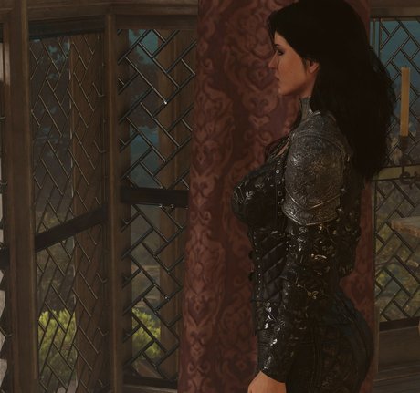 The Witcher