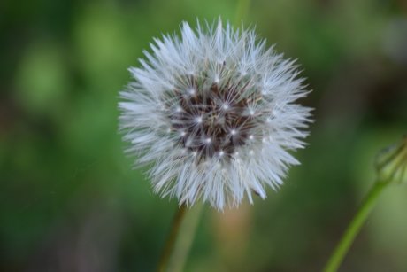 Naakte gelekte OnlyFans-foto van Naturedesire