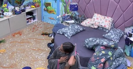 Big Brother Brasil 23