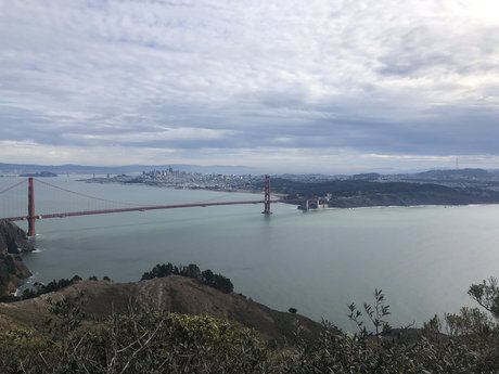 Plantdaddysf