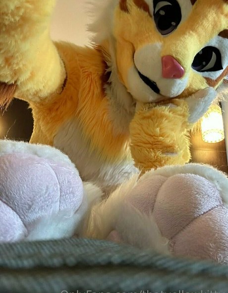 Thatyellowkitty
