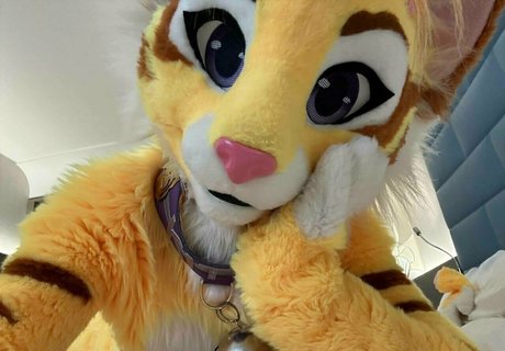 Thatyellowkitty