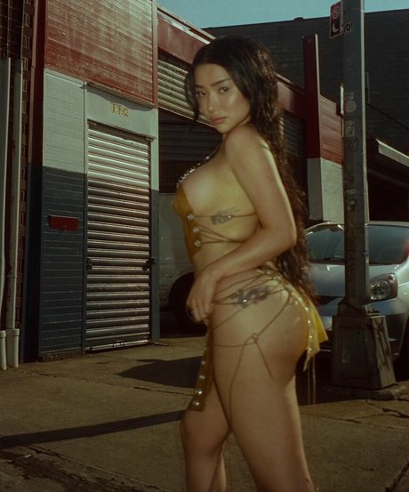 Naakte gelekte OnlyFans-foto van Nikita Dragun