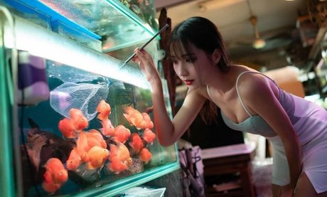 Anita Feifei
