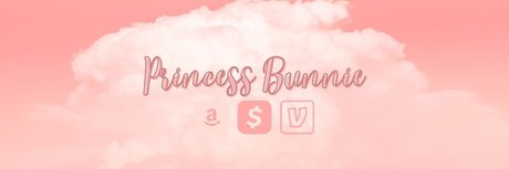  Princess Bunnie 