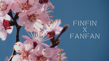 Naakte gelekte OnlyFans-foto van Finfinxfanfan