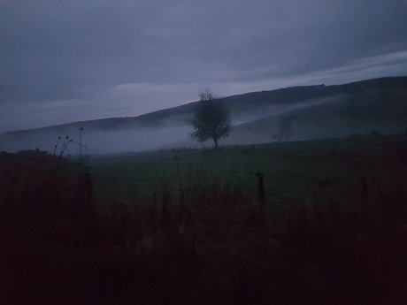 Wyldeb
